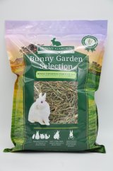 🐰🌿【新入荷のお知らせ】