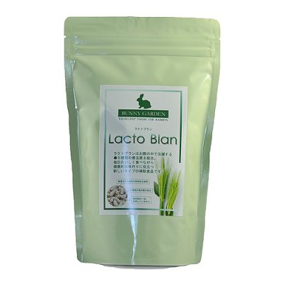 画像2: Lacto Blan（ラクトブラン）腸内環境改善、善玉菌入り補助食品 /250g