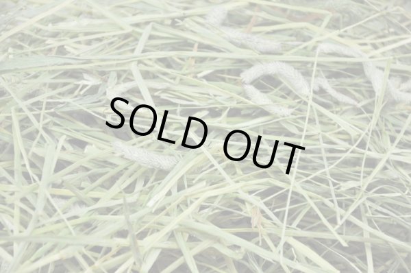 画像2: カナダ産  プレミアムチモシー1番刈り (2)