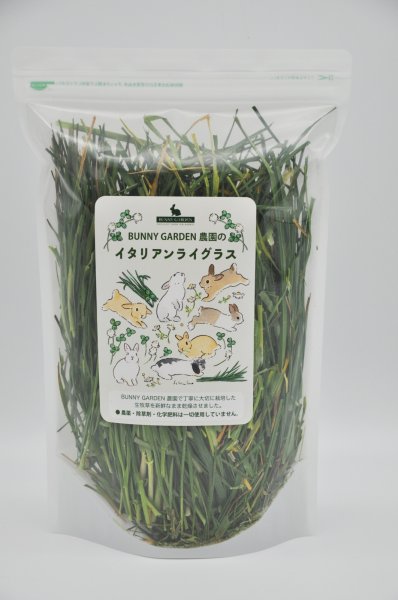 画像1: BUNNY GARDEN農園シリーズ / 冬刈りイタリアンライグラス 100g (1)