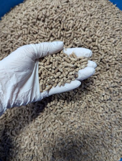 画像2: Lacto Blan Organic 430g（ラクトブラン オーガニック）腸内環境改善、善玉菌入り補助食品 