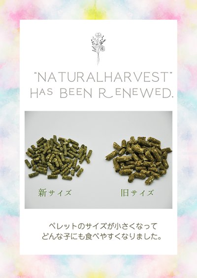 画像3: NATURAL HARVEST  腸内環境サポート プレミアムラビットフード