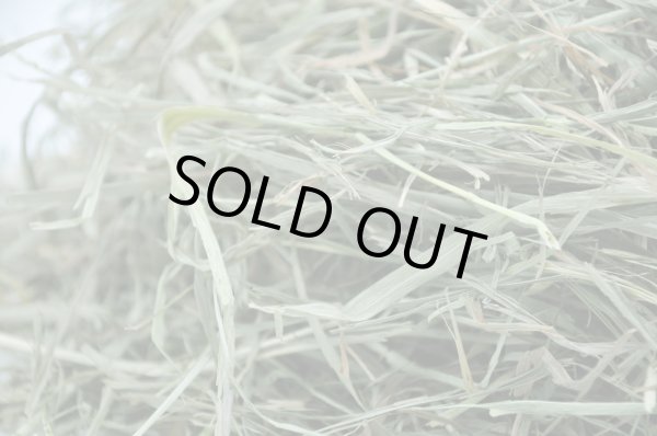 画像3: ロイヤル カナディアンチモシー スーパーソフト2番刈り / ◇◆お試しパック◆◇ (3)