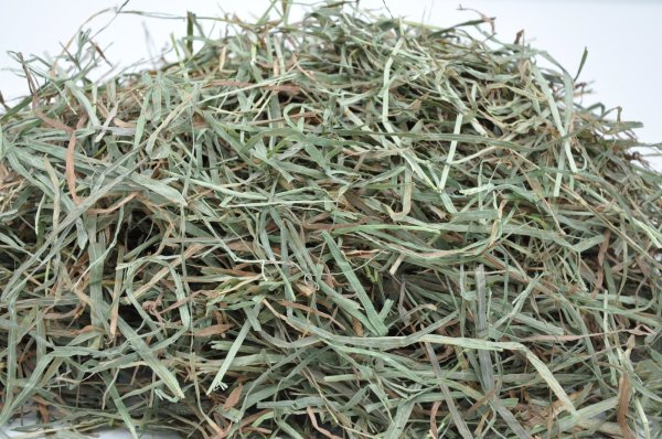 画像3: ロイヤル カナディアンチモシー2番刈り/◇◆お試しパック◆◇ (3)