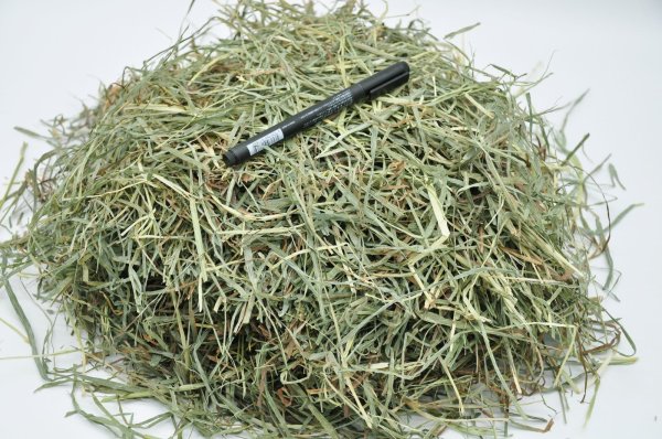 画像4: ロイヤル カナディアンチモシー ◇リーフタイプ◇ 2番刈り (4)