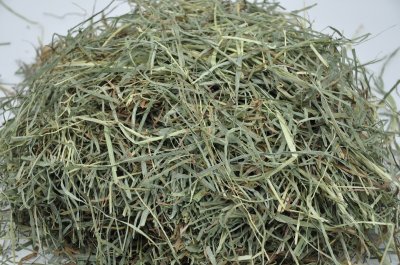 画像2: ロイヤル カナディアンチモシー ◇リーフタイプ◇ 2番刈り /◇◆お試しパック◆◇