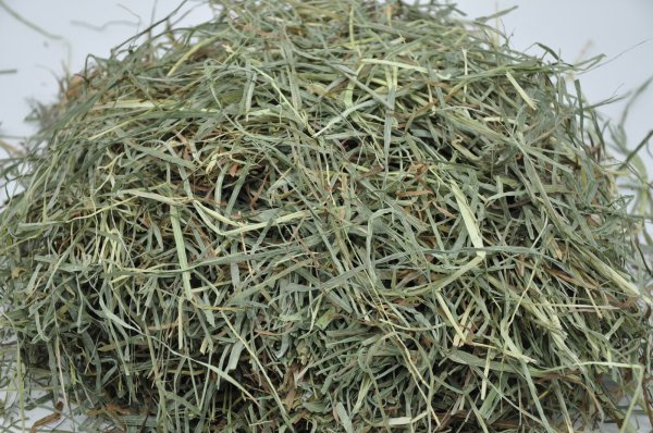 画像3: ロイヤル カナディアンチモシー ◇リーフタイプ◇ 2番刈り /◇◆お試しパック◆◇ (3)