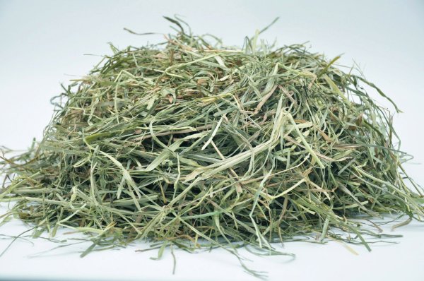 画像2: ロイヤル カナディアンチモシー スーパーソフト2番刈り / ◇◆お試しパック◆◇ (2)