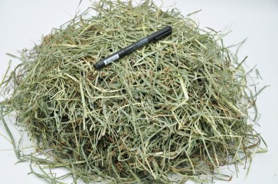 画像3: ロイヤル カナディアンチモシー ◇リーフタイプ◇ 2番刈り /◇◆お試しパック◆◇