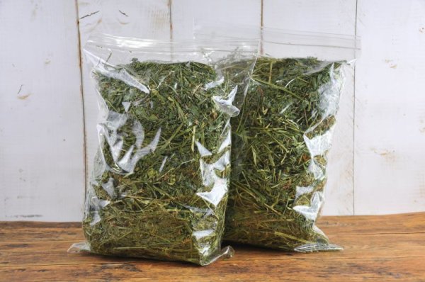 画像3: アルファルファ若葉 ホースグレード (250ｇｘ2袋 個別パッケージ） (3)