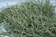 画像3: エレンズバーグ産プレミアムチモシー２番刈り（シングルプレス）/ ◇◆お試しパック◆◇ (3)