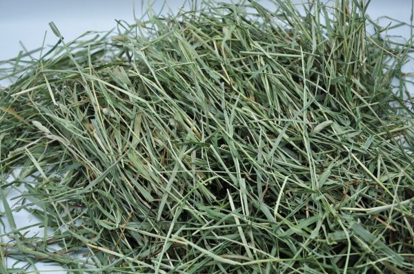 画像3: エレンズバーグ産プレミアムチモシー２番刈り（シングルプレス）/ ◇◆お試しパック◆◇ (3)