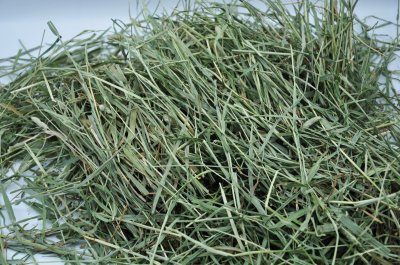 画像3: エレンズバーグ産  プレミアムチモシー2番刈り（シングルプレス）