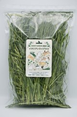 うさぎと牧草の専門店 BUNNY GARDEN