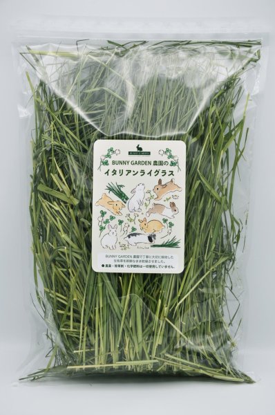 画像1: BUNNY GARDEN農園シリーズ / イタリアンライグラス 100g (1)