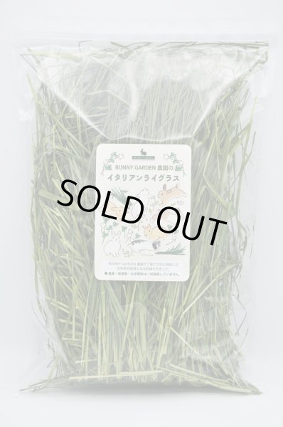 画像1: BUNNY GARDEN農園シリーズ / イタリアンライグラス 100g (1)