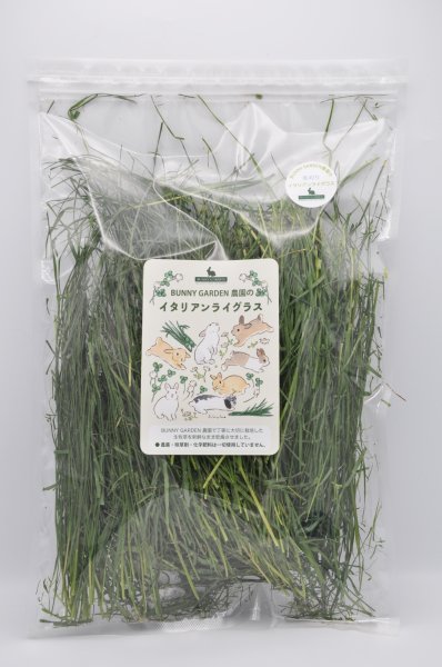 画像1: BUNNY GARDEN農園シリーズ / 冬刈りイタリアンライグラス 70g (1)