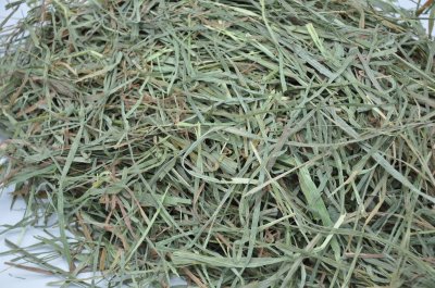 画像1: ロイヤル カナディアンチモシースーパーソフト2番刈り Greenタイプ