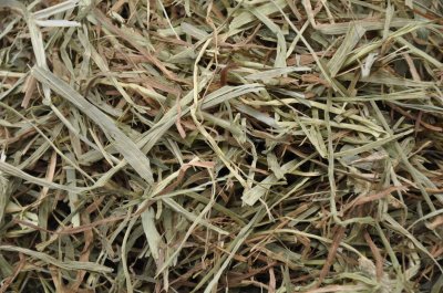 画像3: エレンズバーグ産ソフトチモシー2番刈り