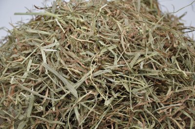 画像2: エレンズバーグ産ソフトチモシー2番刈り