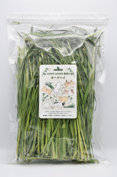 画像1: BUNNY GARDEN農園シリーズ / オーツヘイ 100g (1)