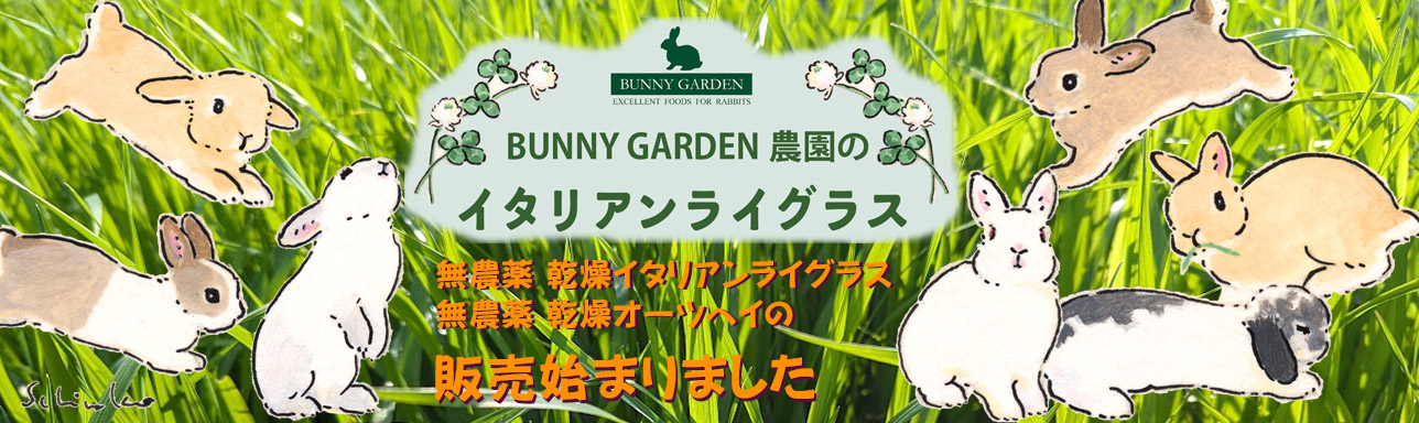 ☆ 森のうさぎとリスの塩瀬の名古屋帯 m4091 うさぎと牧草の