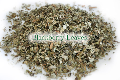 ブラックベリー リーフ Blackberry Leaves Bunny Garden ブラックベリー リーフ Blackberry Leaves Bunny Garden